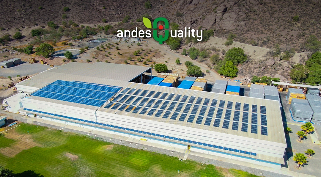 Expansion Proyecto Ley Net Billing Andes Quality