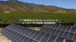 proyecto de paneles fotovoltaicos para la empresa Verfrut