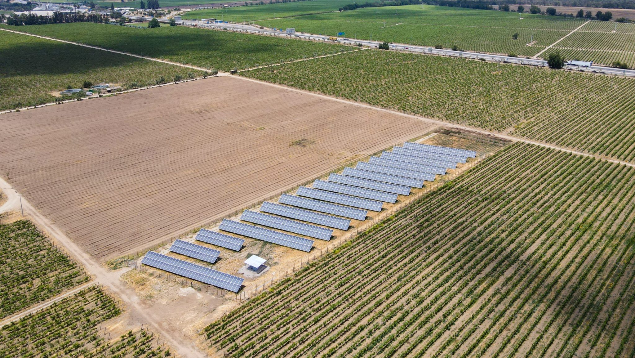 Viña emiliana FULL